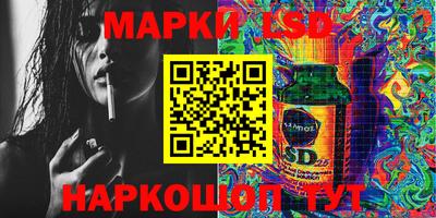 СК Моздок