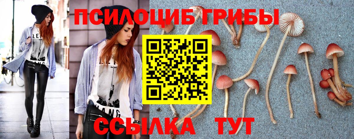 даркнет сайт  Вход с VPN  Ярцево  Псилоцибиновые грибы Psilocybe  Галлюциногенные грибы GOLDEN TEACHER 